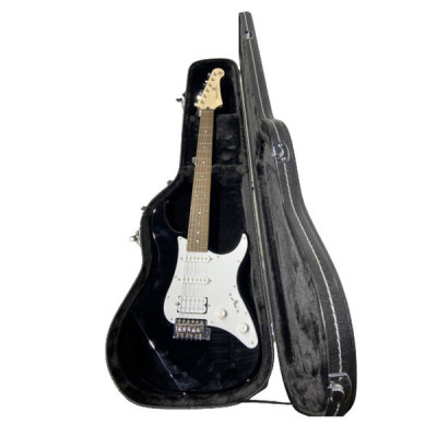 Custodia rigida per chitarra tipo Stratocaster in legno Cobra