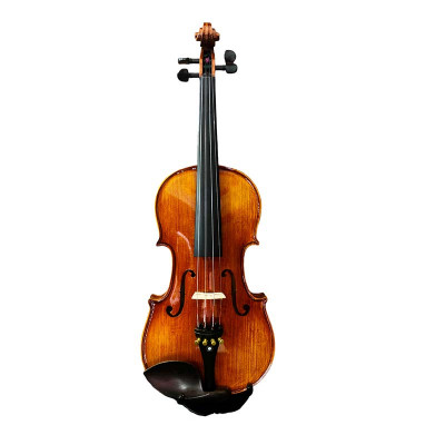 Tartini D-45 violino 4/4 con archetto in carbonio e custodia